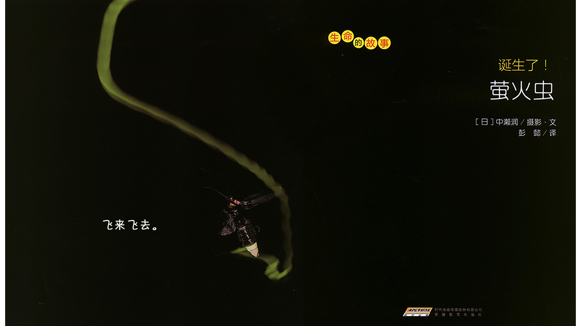 诞生了！萤火虫绘本故事第4页