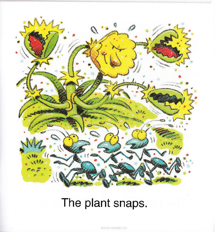 The Plant绘本故事第4页