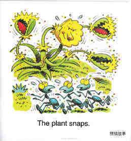 The Plant绘本故事第4页