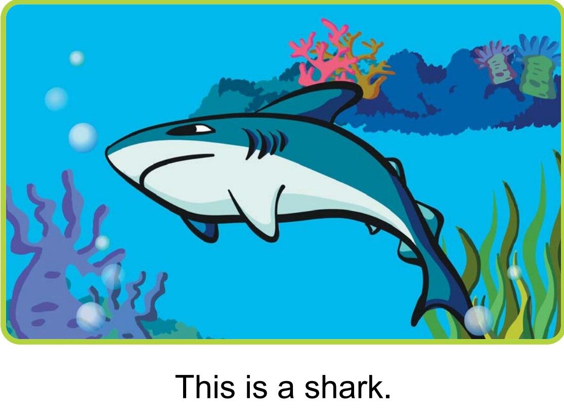 What Is in the Sea绘本故事第5页