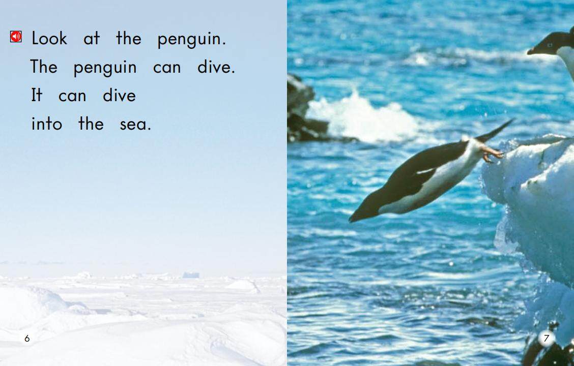 All About Penguins绘本故事第5页