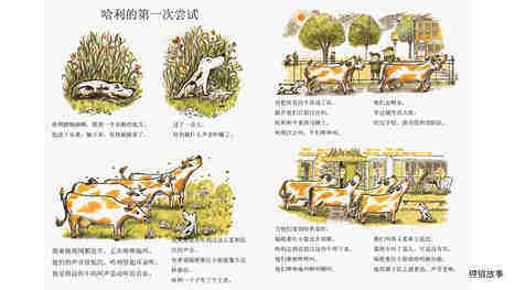 哈利和爱唱歌的邻居绘本故事第5页