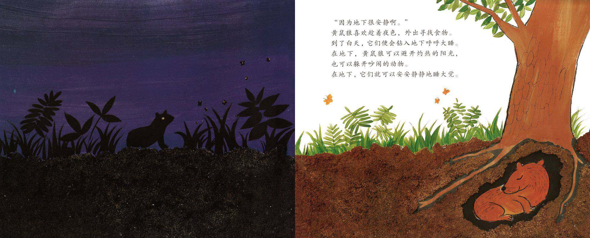 地底下的动物园绘本故事第3页