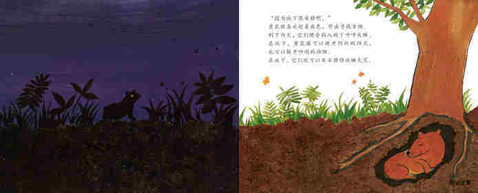地底下的动物园绘本故事第3页