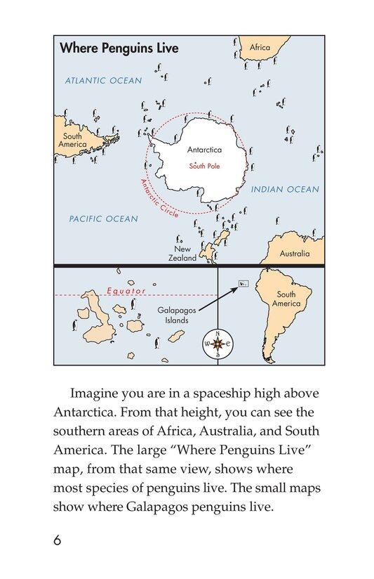 Penguins绘本故事第5页