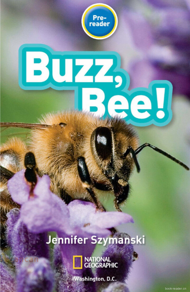 Buzz Bee绘本故事第2页