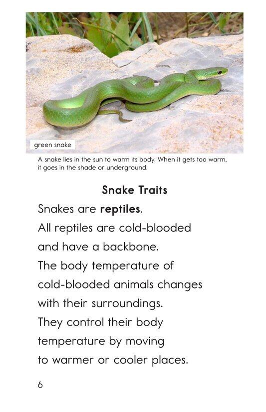 All About Snakes绘本故事第5页