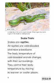 All About Snakes绘本故事第5页