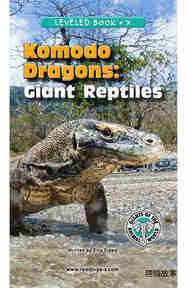 Komodo Dragons Giant Reptiles