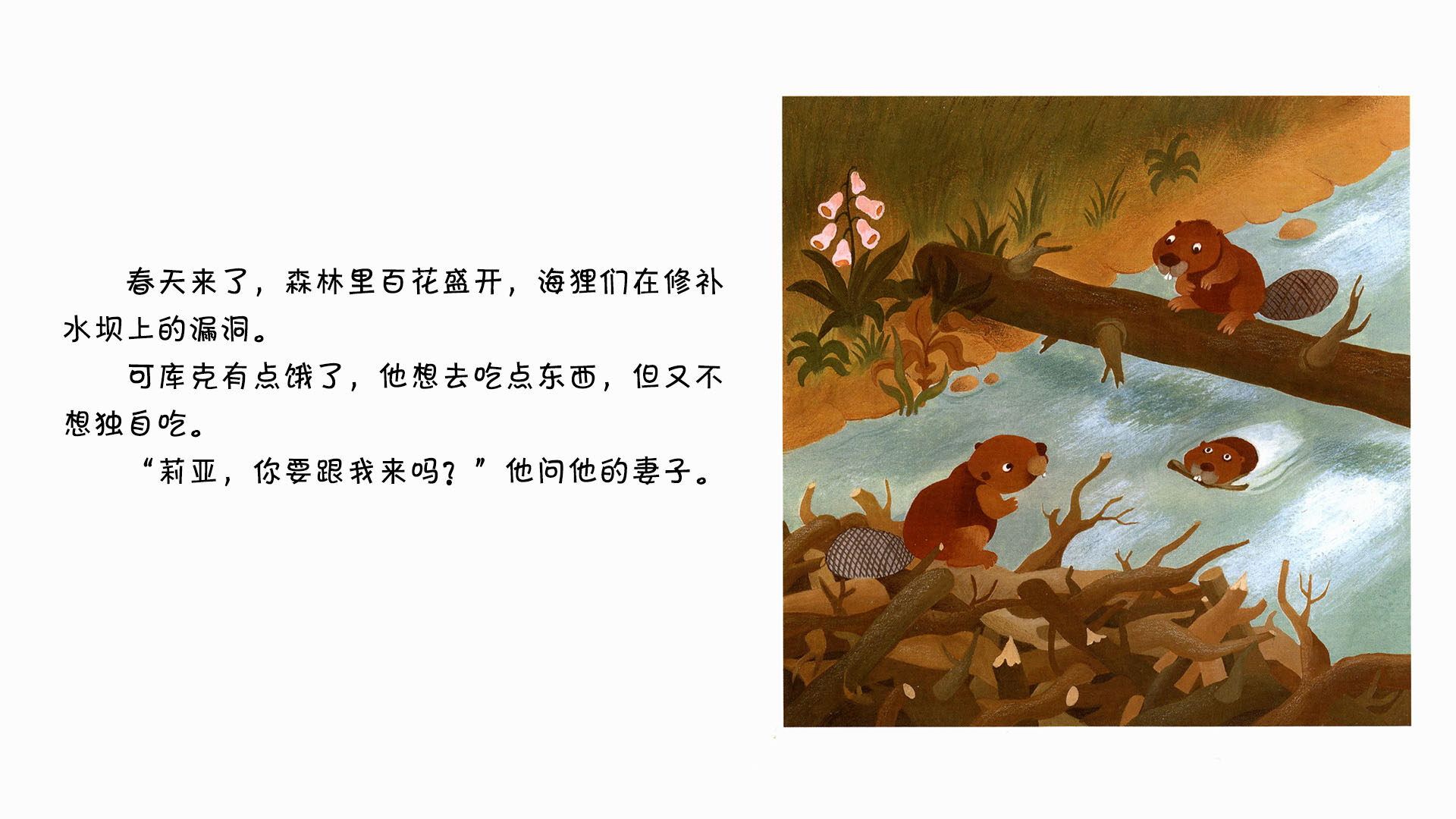 海狸绘本故事第3页
