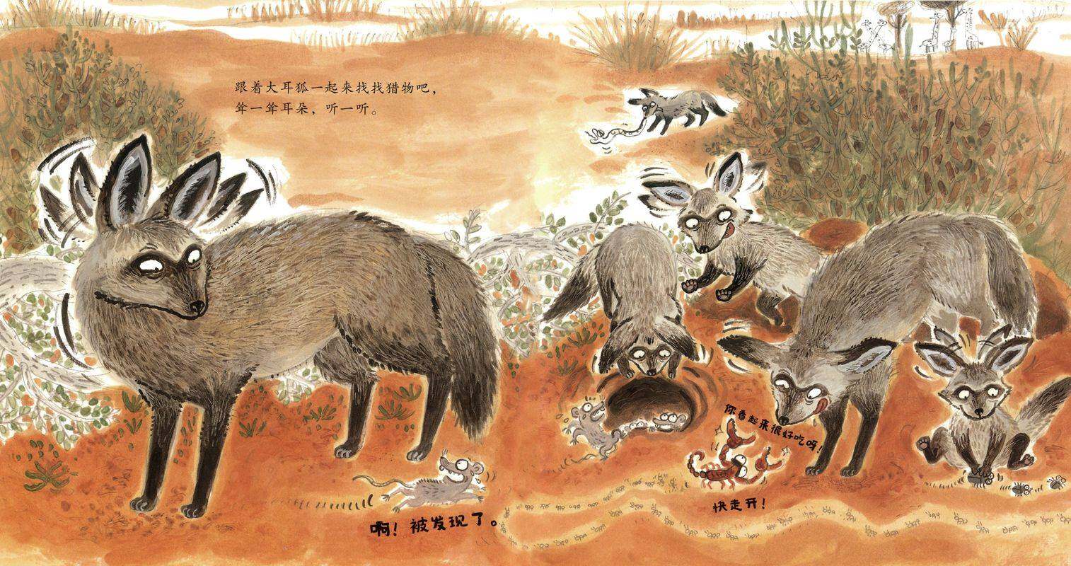 小动物教我做运动绘本故事第4页