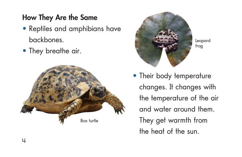 Slithery and Slimy绘本故事第4页