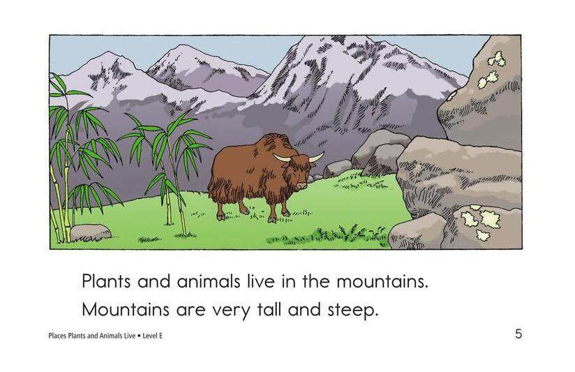 Places Plants and Animals Live绘本故事第5页