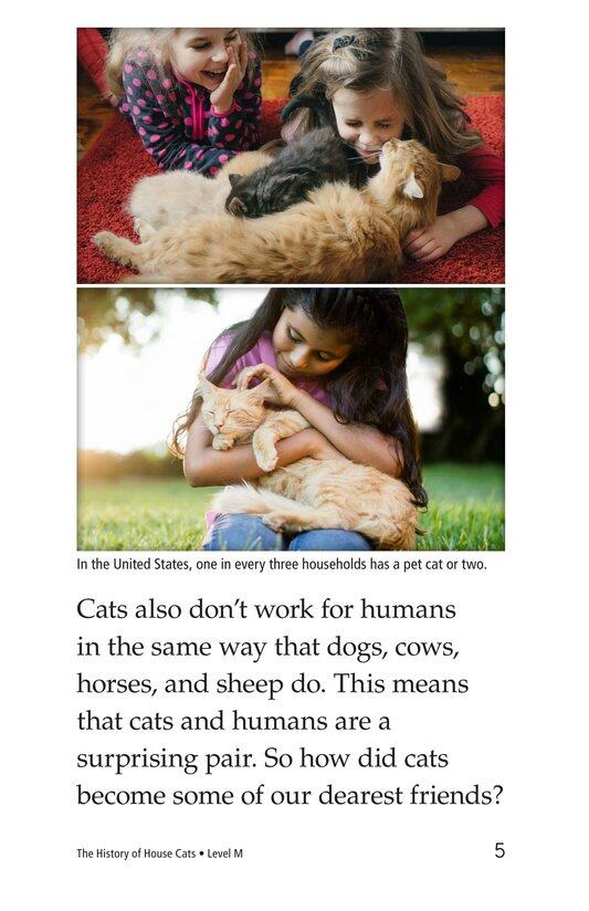 The History of House Cats绘本故事第4页