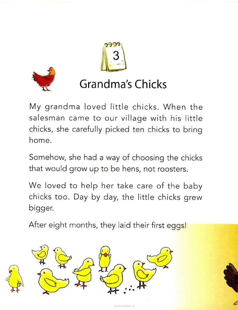 Grandma's Chicks绘本故事第2页