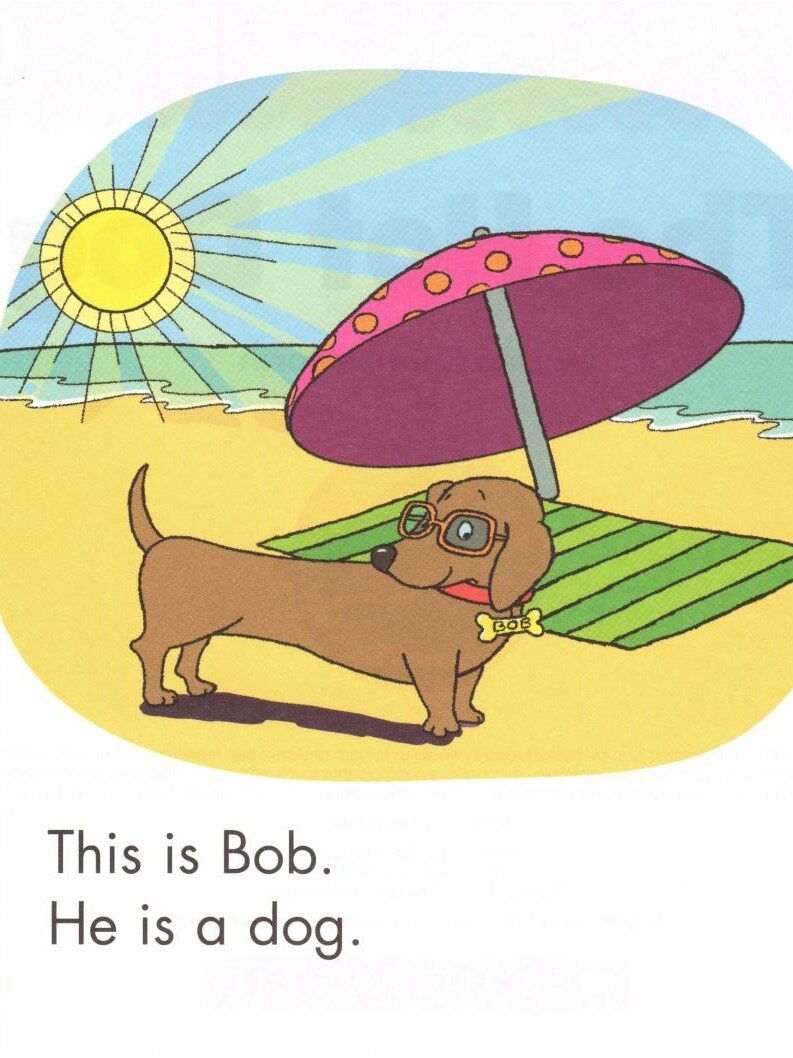 The Hot Dog绘本故事第2页