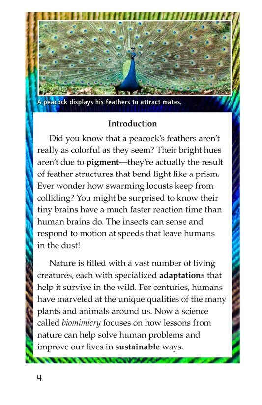 Biomimicry绘本故事第3页