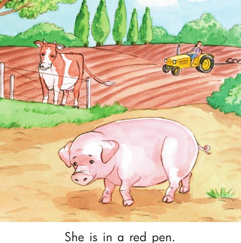 The red hen!绘本故事第4页