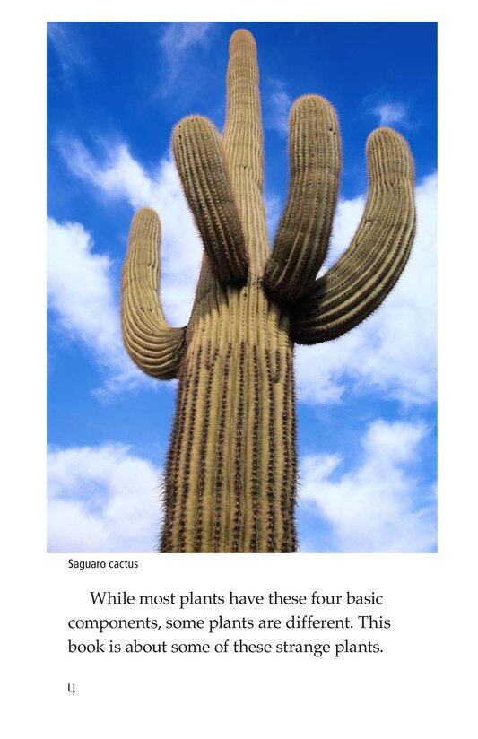 Strange Plants绘本故事第4页