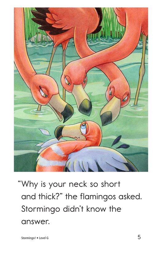 Stormingo!绘本故事第5页