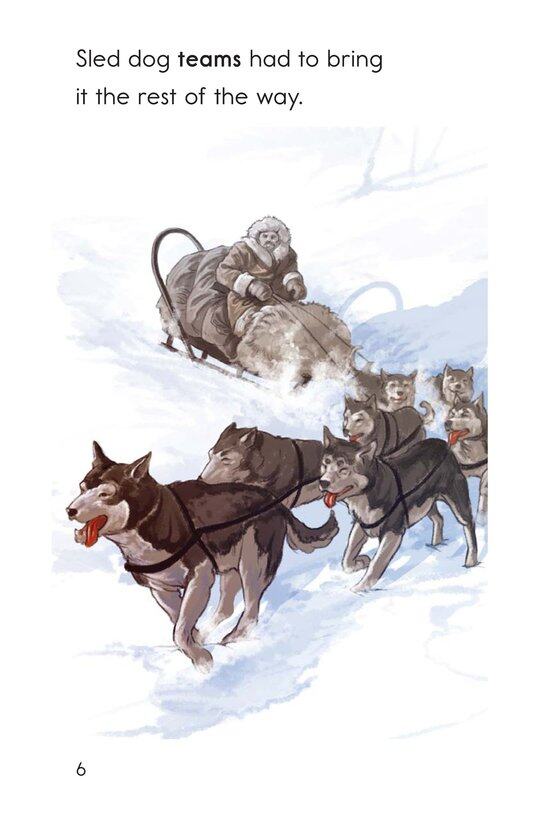Sled Dogs to the Rescue绘本故事第5页