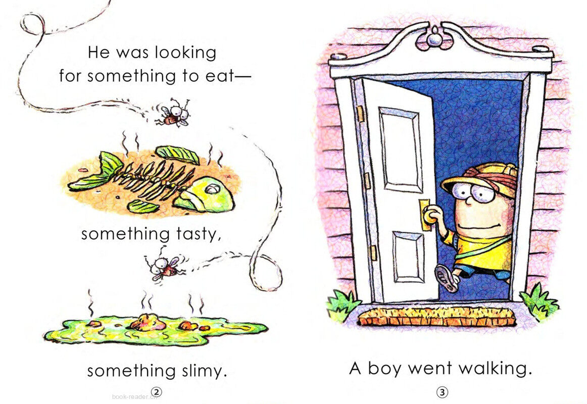 Hi! Fly Guy绘本故事第4页