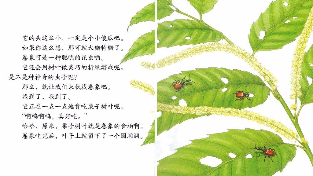 折纸游戏高手卷象绘本故事第5页