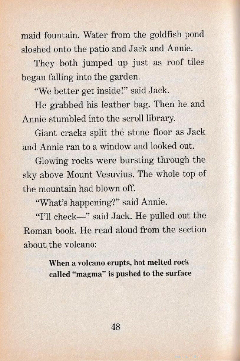 07 The Sky Is Falling绘本故事第3页