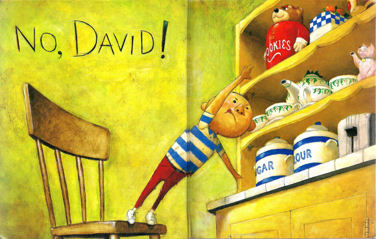 No David绘本故事第3页