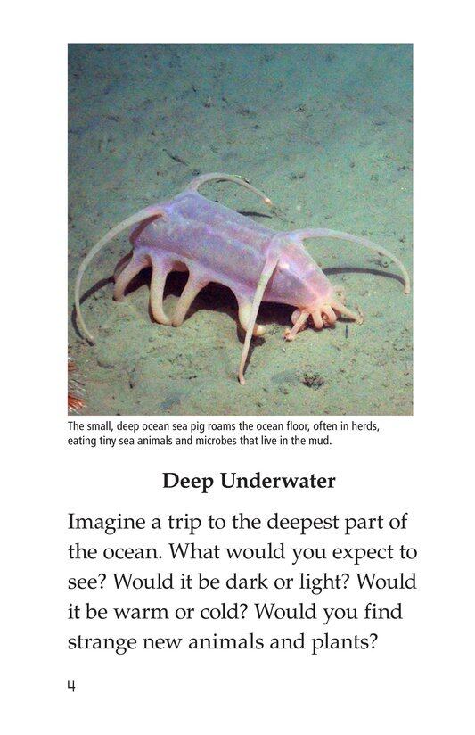 Deep in the Ocean绘本故事第3页