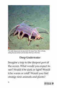 Deep in the Ocean绘本故事第3页