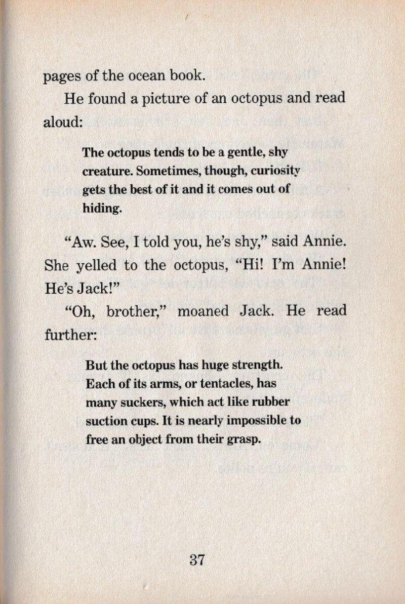 06 C-R-A-C-K绘本故事第3页