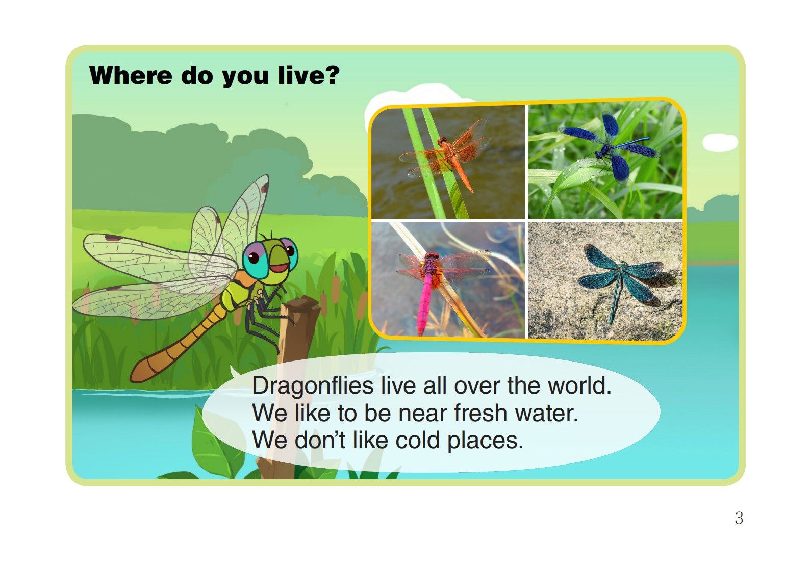 Dragonfly绘本故事第4页