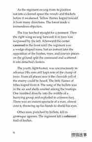 The Red Badge of Courage (Part 12)绘本故事第4页