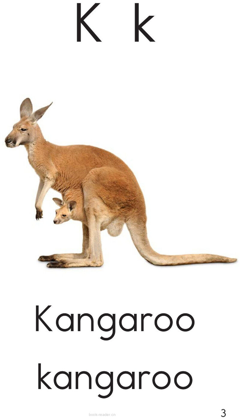 Letter K绘本故事第3页