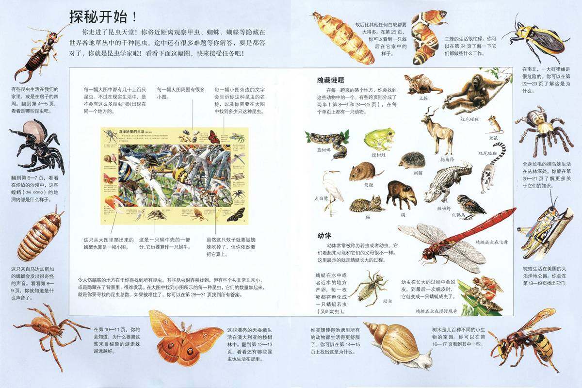 搜索微小的草丛居民绘本故事第2页