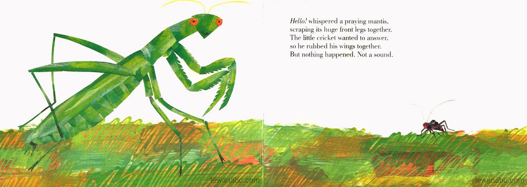 (21周)The Very Quiet Cricket绘本故事第5页