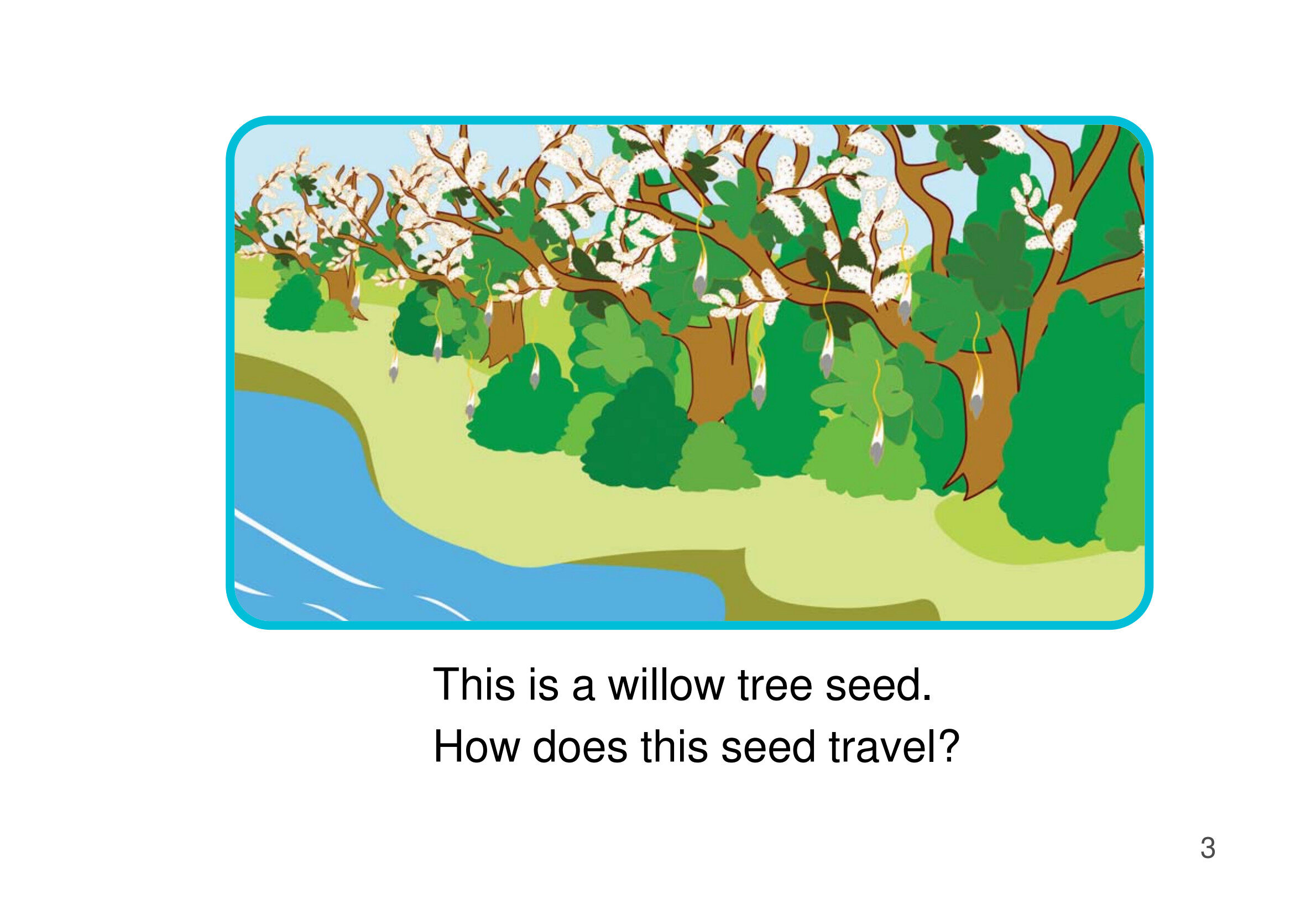 How Do Seeds Travel绘本故事第5页