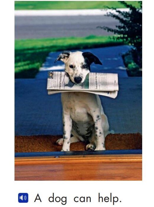 Animals help绘本故事第3页