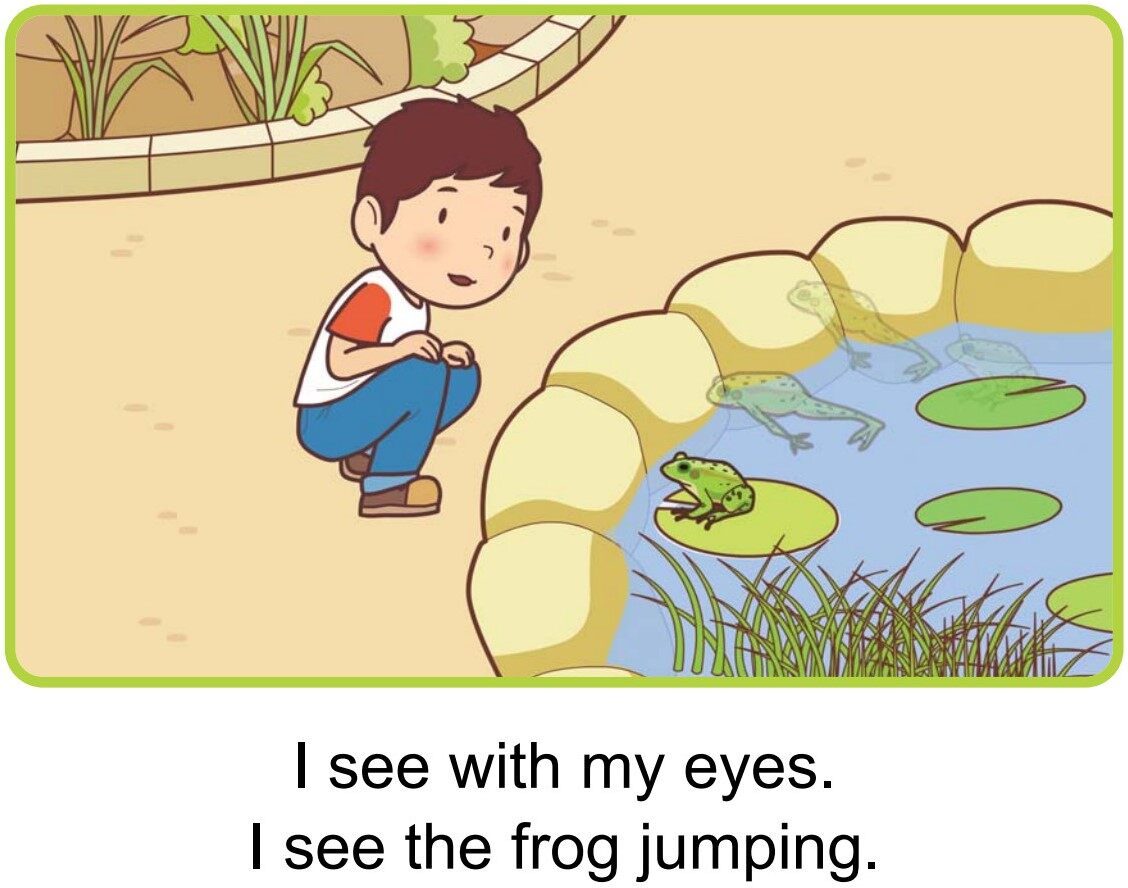 My Five Senses绘本故事第4页