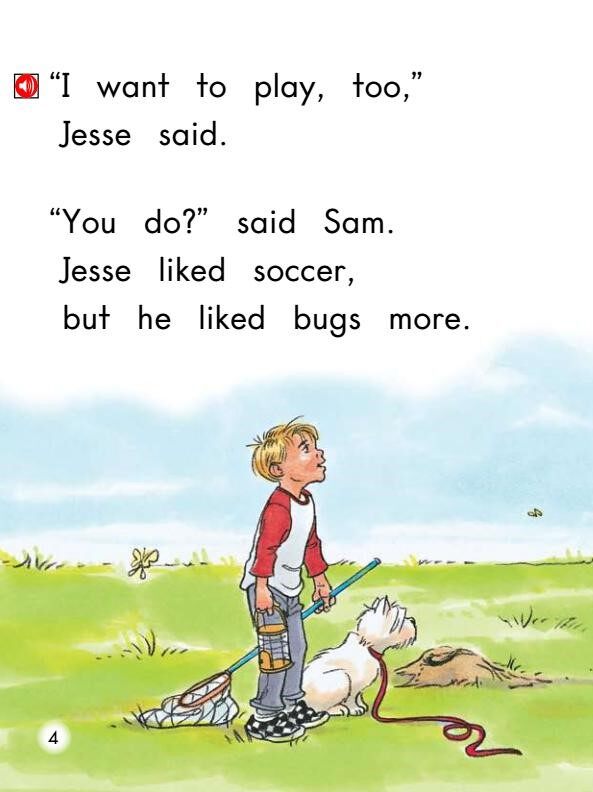 The soccer Game绘本故事第5页