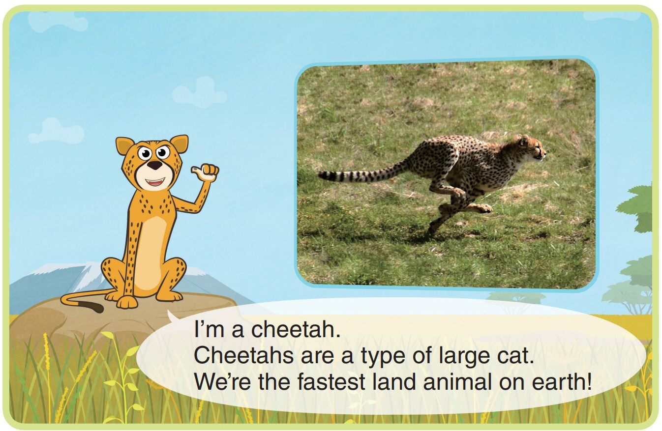 Cheetah绘本故事第3页