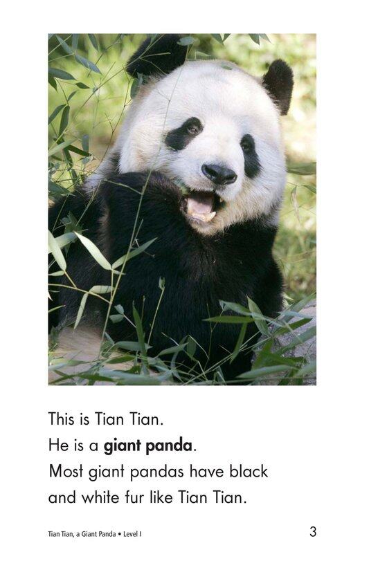 Tian Tian,a Giant Panda绘本故事第3页