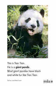 Tian Tian,a Giant Panda绘本故事第3页