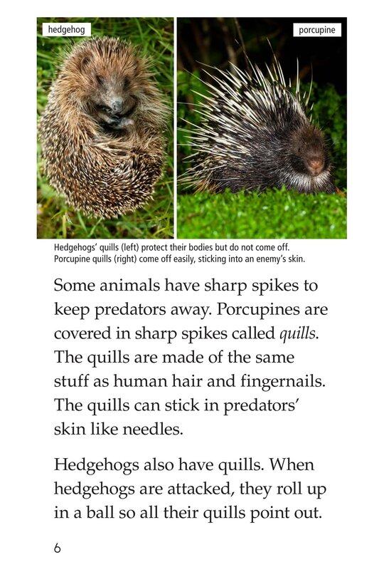 Animal Defenses绘本故事第5页