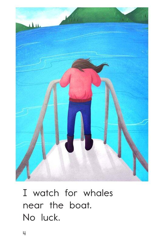 Whale Watching绘本故事第4页