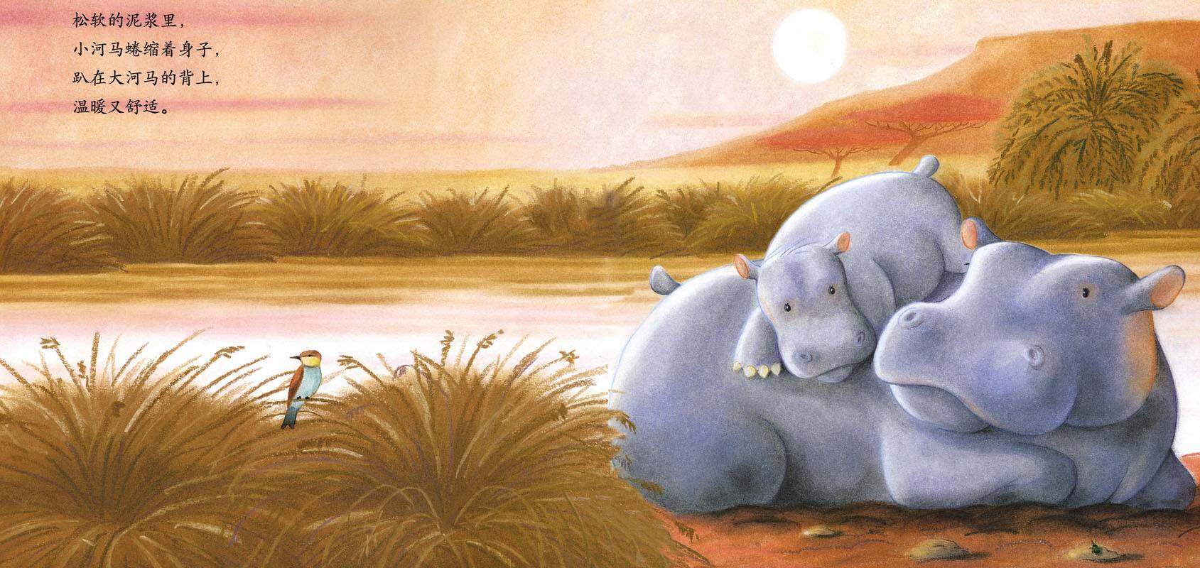 暖房子经典绘本系列·第一辑·亲情篇：相拥而眠绘本故事第3页