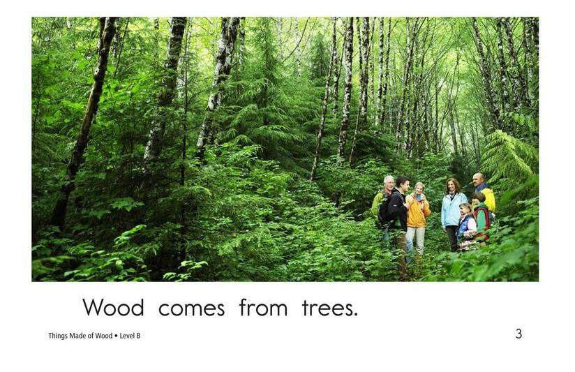 Things Made of Wood绘本故事第3页