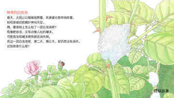 泡泡里的住户沫蝉绘本故事第4页