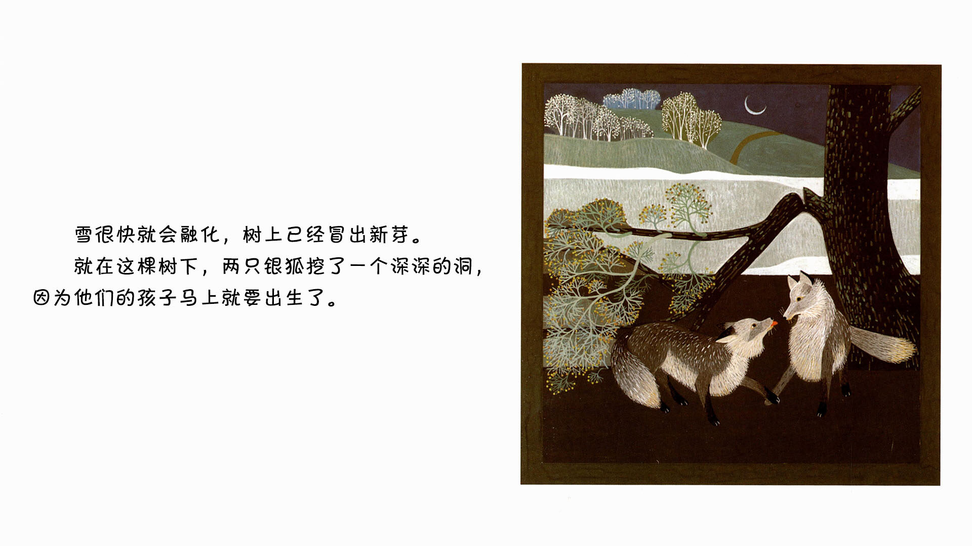 银狐绘本故事第5页